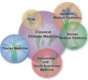 Classical Chinese medicine